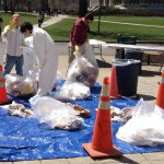 Liberals Playing With Trash