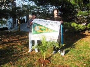 Preparing for "Global Warming," Planting Palm Trees in Jersey