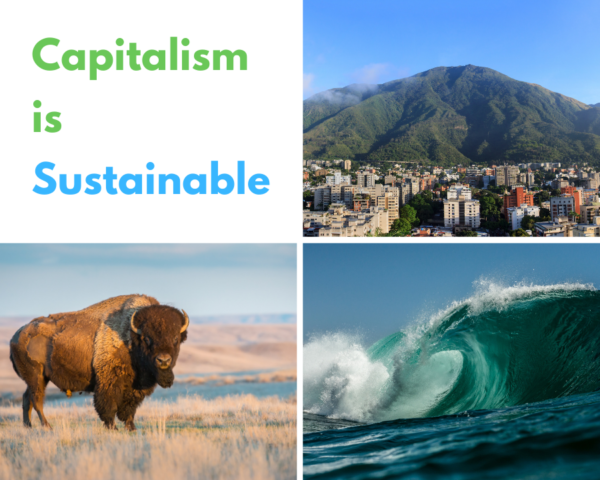 Capitalism is Sustainable. Learn why! – CFACT